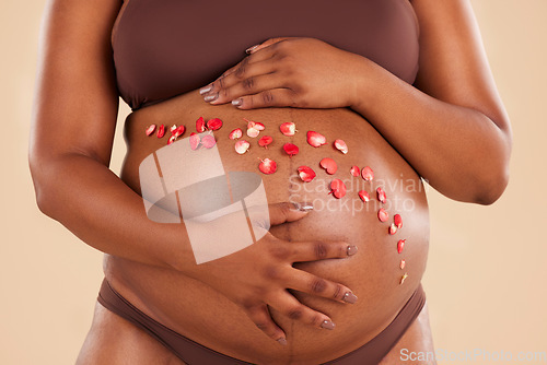 Image of Pregnant woman, flowers and abdomen in studio for body, baby wellness and ivf healthcare. Closeup stomach, floral plants and pregnancy glow of mother, belly skincare and gynecology of natural birth