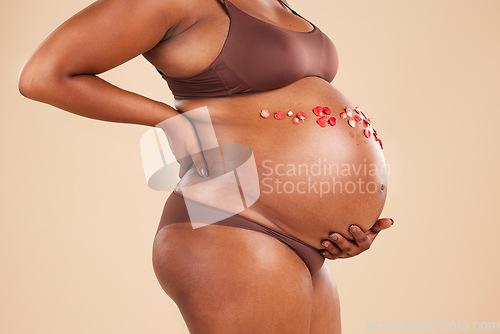 Image of Woman, pregnant and flowers on belly in studio for body, baby wellness and ivf healthcare. Closeup stomach, floral plants and pregnancy glow of mother, abdomen skincare or gynecology of natural birth