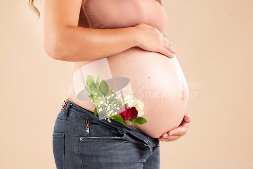 Image of Pregnant woman, rose flowers and stomach in studio for body, maternity wellness and ivf healthcare. Closeup abdomen, floral plants and pregnancy of mother for baby belly, gynecology and natural birth