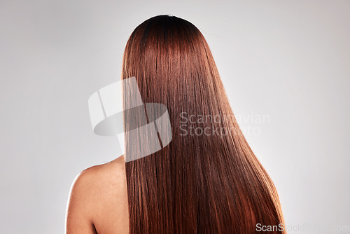 Image of Hair care, health and beauty of girl with texture shine and smooth keratin style of people. Glossy aesthetic and glow treatment of person back view at isolated studio gray background.