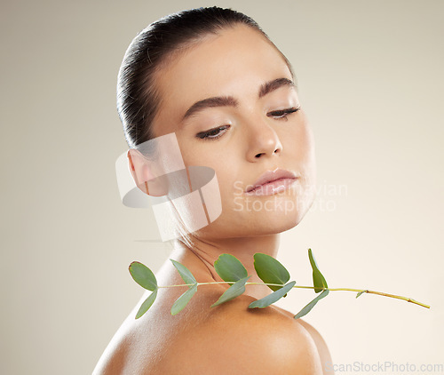 Image of Woman, skincare and beauty with green plant on skin for natural dermatology for cosmetic product. Glow on face of aesthetic model in studio for sustainable cosmetics or makeup for health and wellness