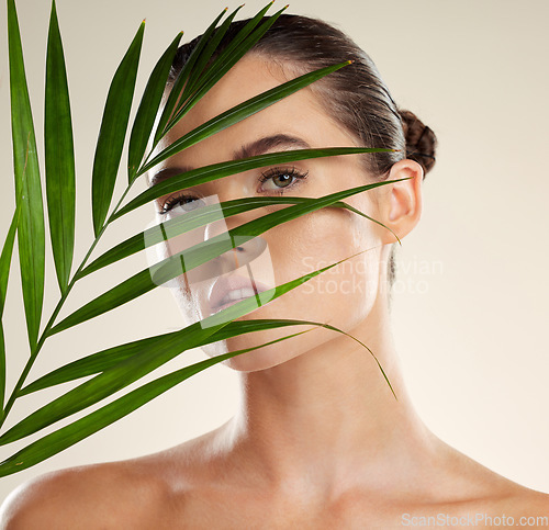 Image of Woman, face and leaf for natural skincare, cosmetics or healthy facial beauty treatment. Portrait of beautiful female with organic plant, leafs or nature wellness for self love, care or perfect skin