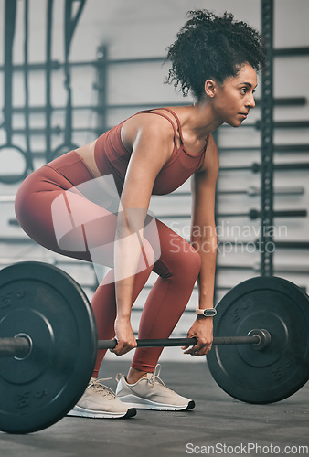 Image of Gym, barbell exercise and black woman doing muscle fitness performance for body health, strength training or bodybuilding. Arm workout, athlete wellness lifestyle and strong bodybuilder weightlifting