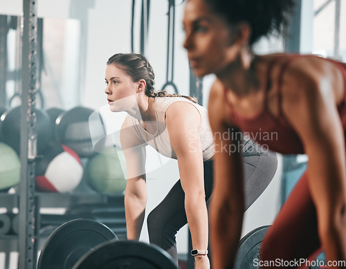 Image of Gym, barbell workout and people doing muscle fitness performance, body strength training or bodybuilding. Strong exercise girl, health team or bodybuilder weightlifting for athlete wellness lifestyle