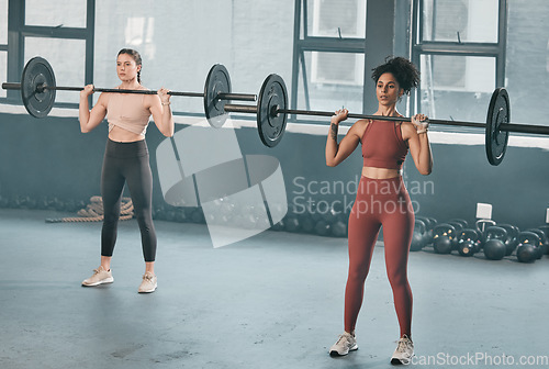 Image of Gym, barbell workout and diversity women doing muscle fitness performance, exercise or body building. Strong girl, health lifestyle and strength training athlete, people or bodybuilder weightlifting