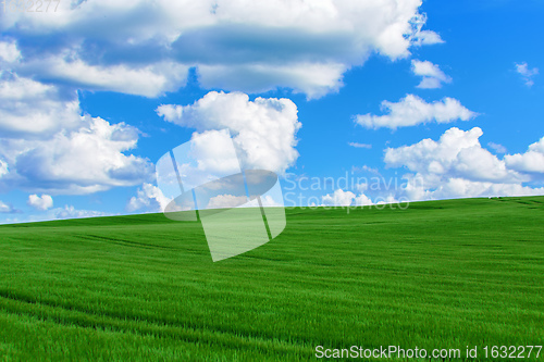 Image of Green Hills Blue Clear Sky Landscape Concept