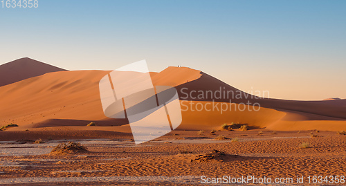 Image of sand dunes at Sossusvlei, Namibia