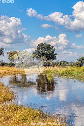 Image of African landscape, Bwabwata, Namibia