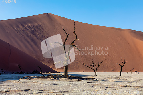 Image of beautiful sunrise landscape of hidden Dead Vlei