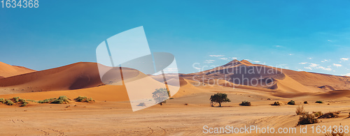 Image of sand dunes at Sossusvlei, Namibia