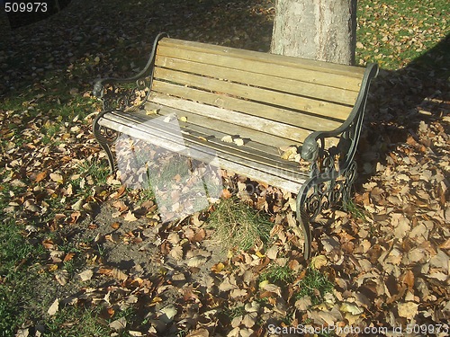 Image of Bench