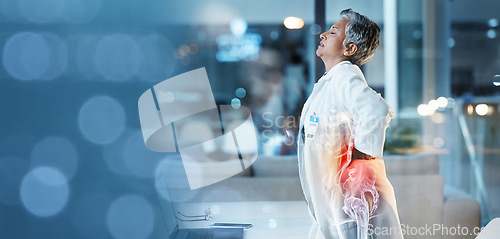 Image of Elderly woman, doctor with back pain, spine injury with anatomy red overlay, burnout and fatigue with emergency. Health, hospital and bokeh with muscle inflammation and medical mockup with rheumatism