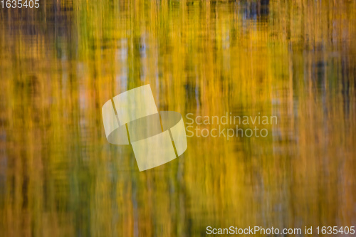 Image of The cool autumn morning at the pond