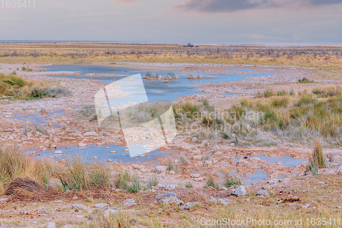 Image of landscape namibia Etosha game reserve