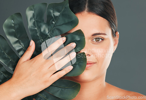 Image of Palm leaf, face and woman in portrait with hand for beauty, manicure and natural cosmetics isolated on studio background. Eco friendly cosmetic care, facial and skincare with dermatology and wellness