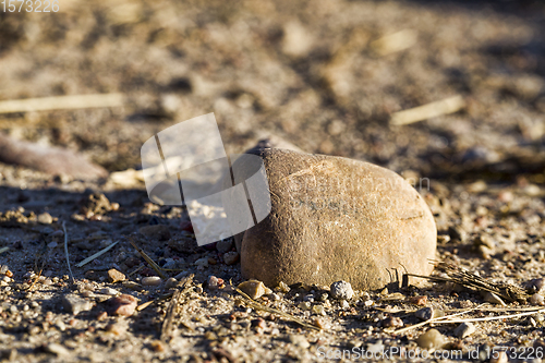 Image of details sand