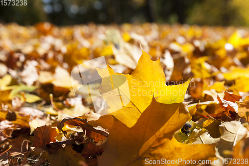 Image of Sunny weather