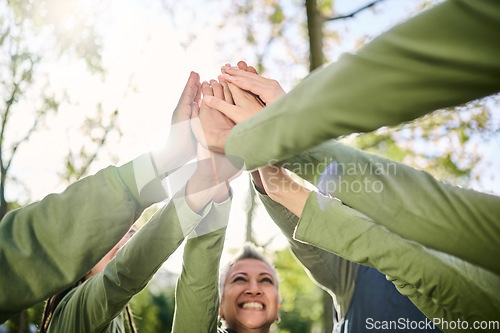 Image of High five, outdoor and hands from team building at a wellness retreat with community and support. Volunteer, happiness and smile of support group excited with collaboration, trust and solidarity