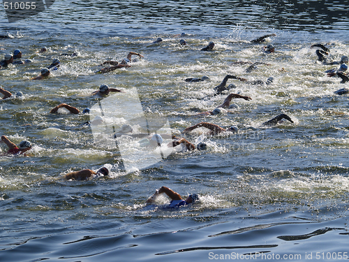 Image of Triathlon swim