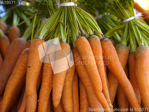 Image of bunch of carrots