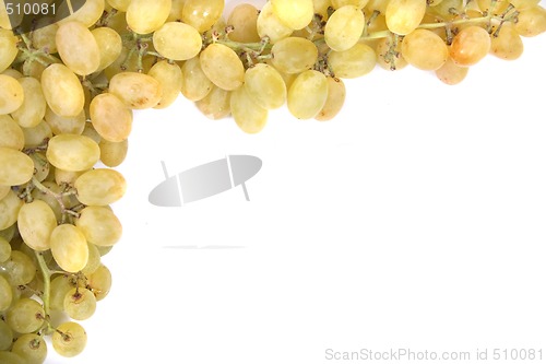 Image of grapes background