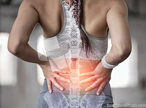 Image of Spine, anatomy and back of a woman with pain during fitness, training and exercise with a problem. X ray, medical and athlete with injury or accident from gym sports, workout or cardio inflammation