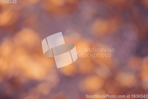 Image of autumnal natural background