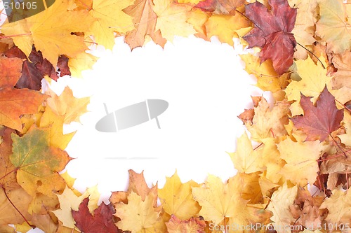 Image of autumn background