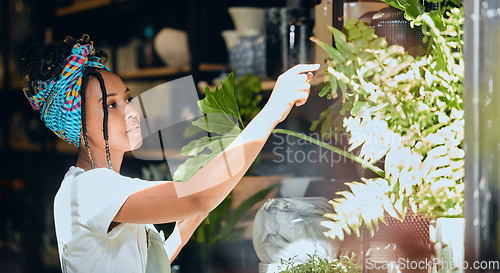 Image of Small business, black woman and entrepreneur as a florist at a plant shop in the gardening in a nursery. Sustainability, growth and store owner working with green plants in a greenhouse startup