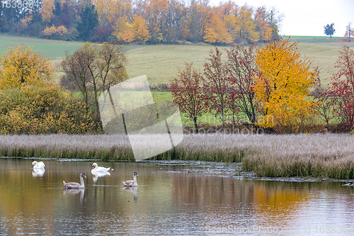 Image of The cool autumn morning at the pond