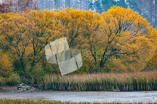 Image of The cool autumn morning at the pond