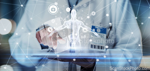 Image of Tablet, hands or doctor with human body hologram for futuristic research, 3d ai analysis or hospital innovation. Life insurance, medical or man with virtual holographic anatomy for digital healthcare