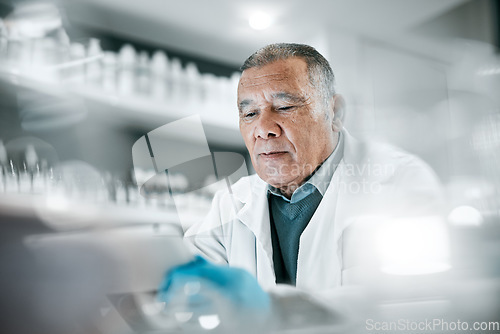 Image of Science, research and senior man scientist working on experiment, tests or study in the lab. Medical, healthcare and elderly male biologist with data analysis for scientific innovation in laboratory.