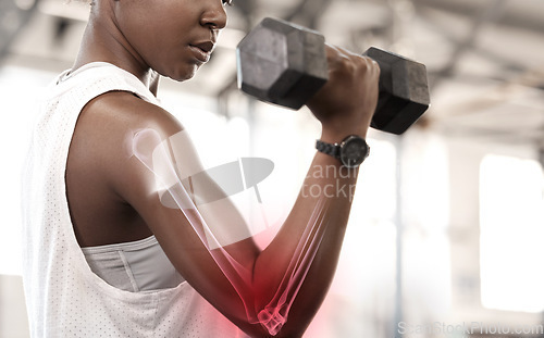 Image of Bone hologram overlay, black woman athlete and weight training of a strong female athlete. Gym workout, strength exercise and arms muscle gain with red joint inflammation illustration with fitness