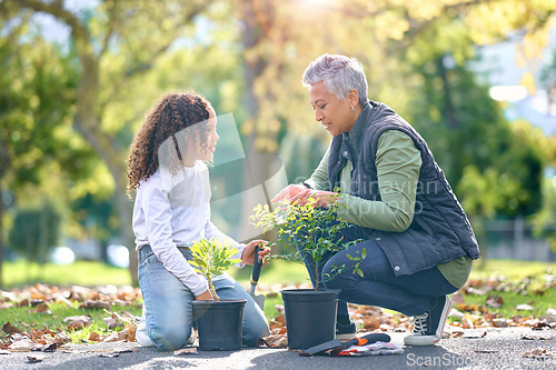 Image of Woman, child and plant while gardening in a park with trees in nature, agriculture or garden. Volunteer team planting for growth, ecology and sustainability for community environment on Earth day