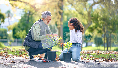 Image of Child, woman and plant for gardening in a park with trees in nature, agriculture or garden. Volunteer team learning growth, ecology and sustainability for outdoor community enviroment on Earth day