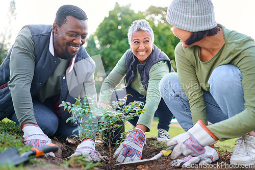 Image of Community service, volunteering and people plant trees in park, garden and nature for sustainable environment. Climate change, soil gardening and sustainability for earth day, growth or green ecology