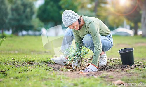 Image of Plant, nature and eco friendly woman gardening in a park for sustainable or agriculture garden. Environment, seeds and Asian female gardener planting natural greenery in outdoor field in countryside.