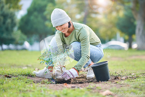 Image of Nature, plant and woman gardening in a park for sustainable, agriculture or eco friendly garden. Environment, agro and Asian female gardener planting natural greenery in outdoor field in countryside.