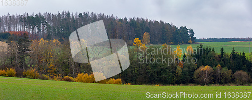 Image of Autumn landscape color trees and meadow