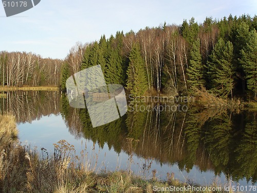 Image of Forest lake