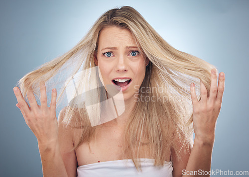 Image of Face portrait, hair loss and shocked woman in studio isolated on a gray background. Beauty, surprised and female model sad, angry or frustrated with haircare damage, split ends or messy hairstyle.