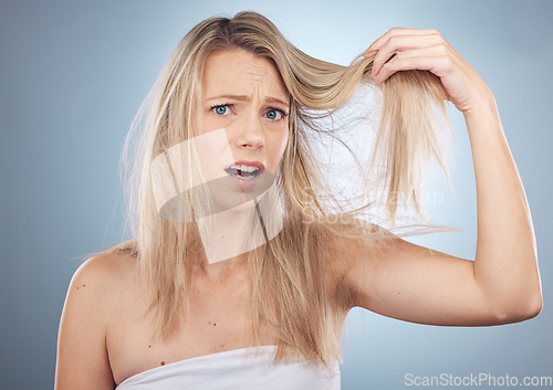 Image of Hair loss, face portrait and shocked woman in studio isolated on a gray background. Beauty, surprised and female model sad, angry or frustrated with haircare damage, split ends or messy hairstyle.