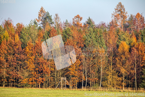 Image of Autumn forest nature. Vivid fall colors