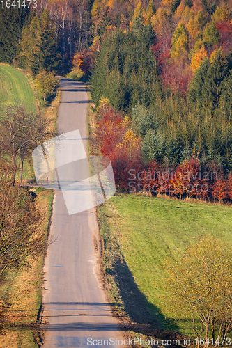 Image of Autumn forest nature. Vivid fall colors