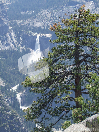 Image of Yosemite National Park