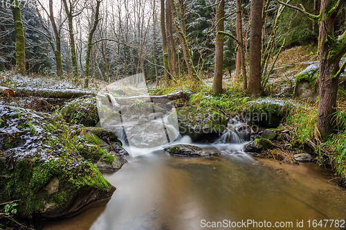 Image of small mountain creek in a woodland