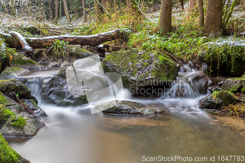 Image of small mountain creek in a woodland