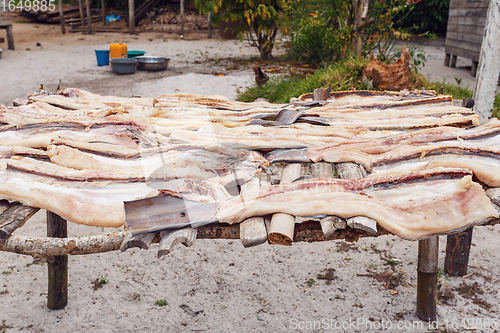 Image of Drying fish in the sun, Madagascar.