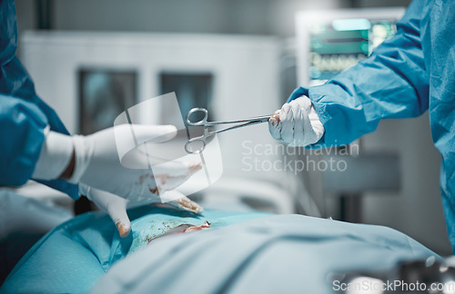 Image of Healthcare, cutting and hands giving scissors during a surgery, hospital work and service on patient. Teamwork, help and surgeon with a tool during a medical procedure, operation and career at clinic